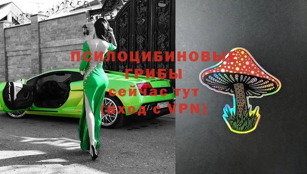 mdpv Болохово