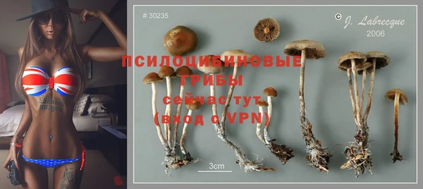 mdpv Болохово