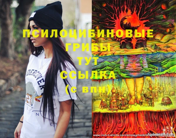 винт Переславль-Залесский