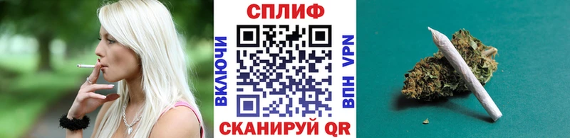 купить наркотики сайты  Багратионовск  Конопля сатива 
